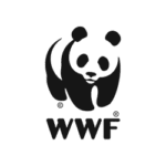WWF - Marketing Digital